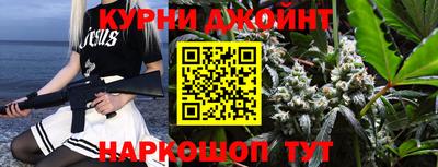 сатива Заводоуковск