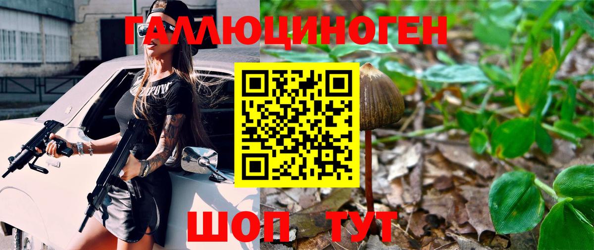 Ялта  что такое   Вход с VPN  Галлюциногенные грибы GOLDEN TEACHER 